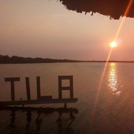 The Venue - Utila 호스텔 외부 사진