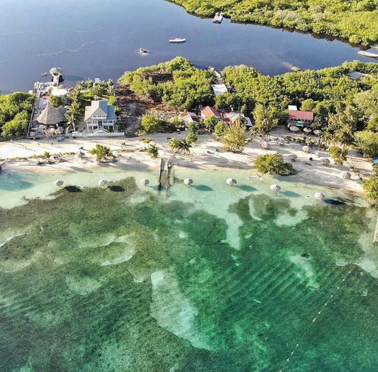 The Venue - Utila 호스텔 외부 사진