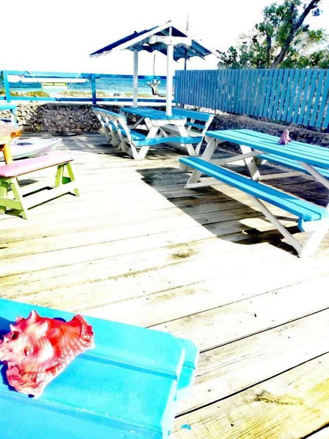 The Venue - Utila 호스텔 외부 사진